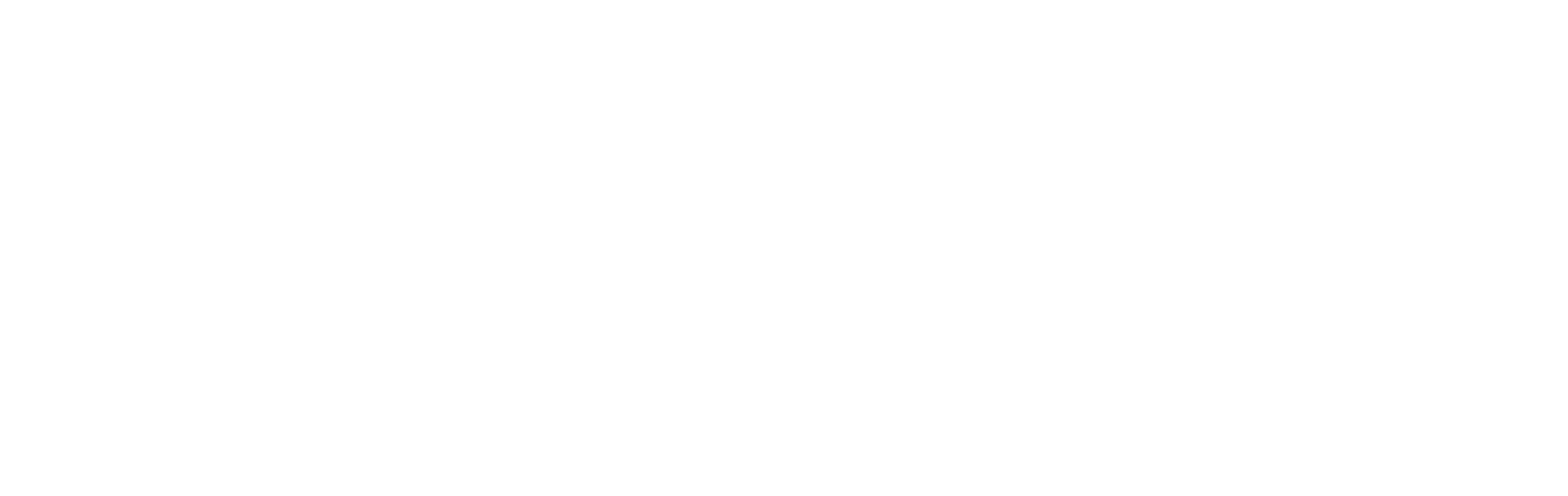 Gooseworks